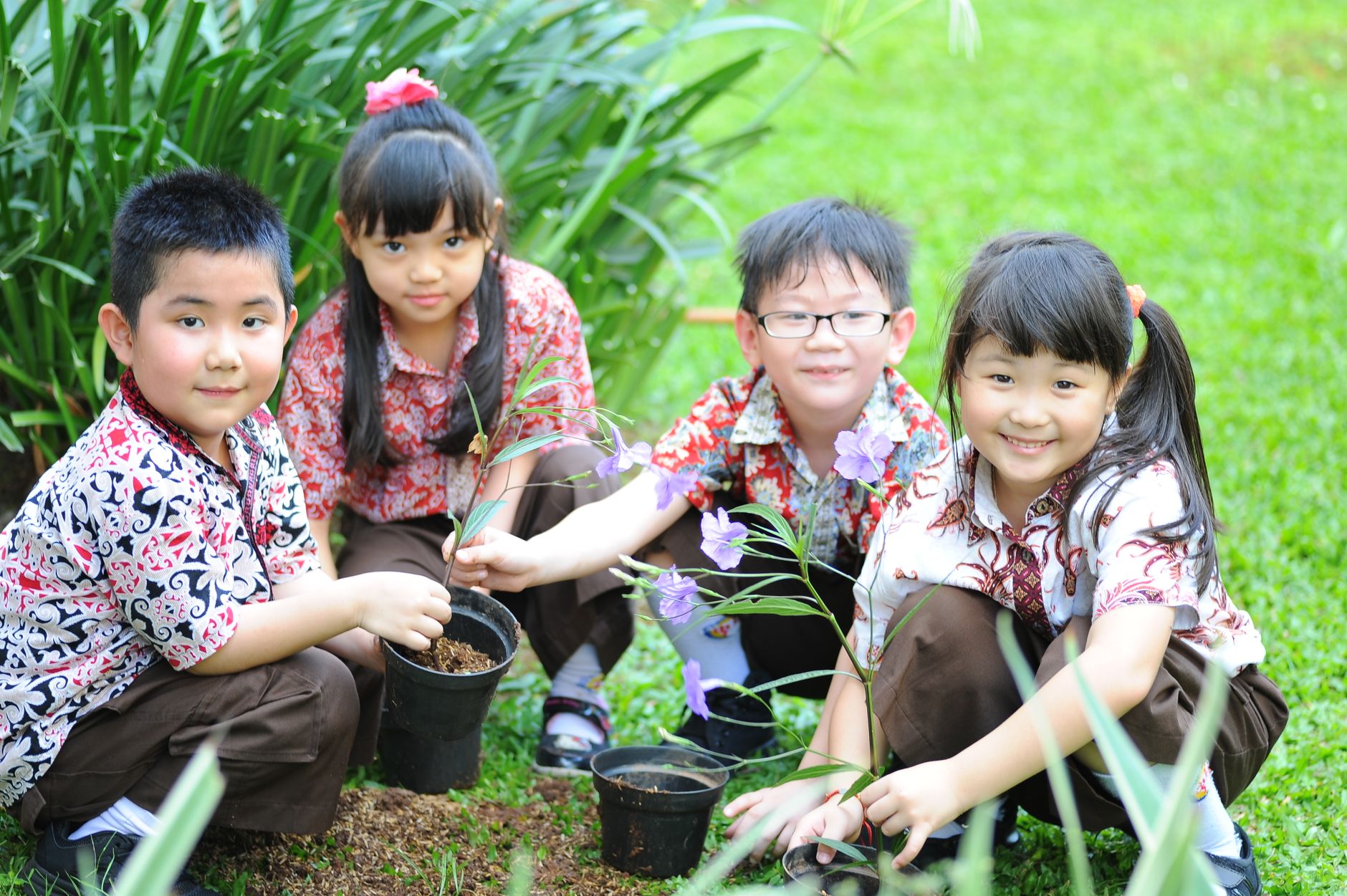 A group of children planting flowers together in a garden bed